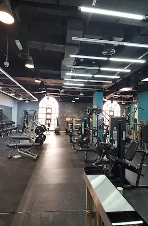 Abu Dhabi University (ADU) Abu Dhabi University (ADU) GYM Dubai