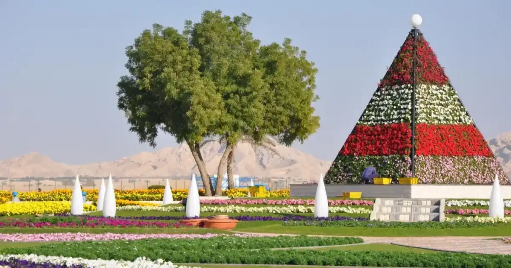 Places to Visit in Al Ain Dubai's Best Places to Visit in Al Ain