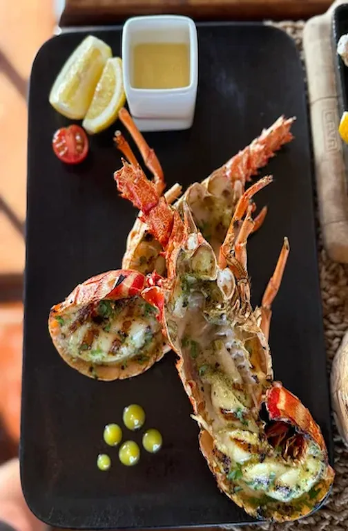 Gonu Bar & Grill - Fujairah Seafood at Gonu Bar & Grill Fujairah