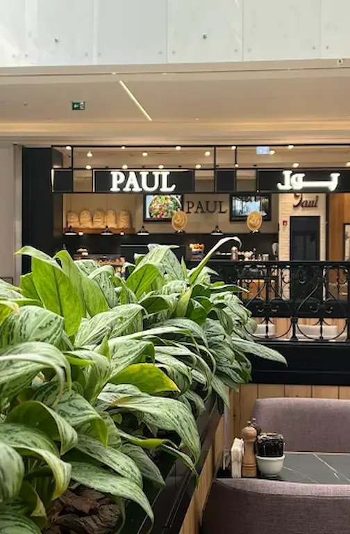 PAUL - Palm Jumeirah Mall (Nakheel Mall) PAUL Restaurant nakheel mall Palm Jumeirah