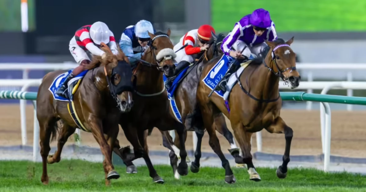 Dubai World Cup A Worldwide Sporting Celebration Beyond Horse Racing