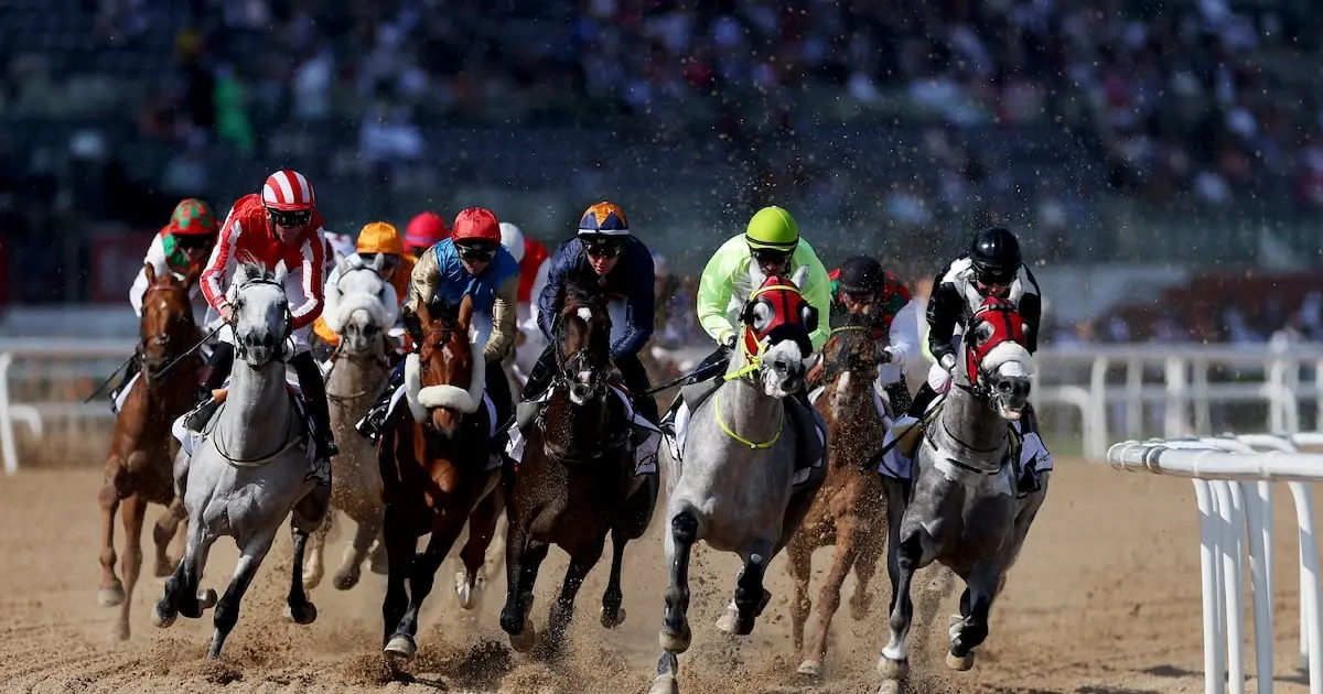 Dubai World Cup to Continue Despite Heavy Rainfall