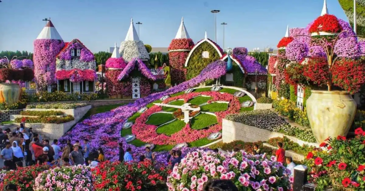 UAE Residents Visit Dubai Miracle Garden After Free Entry Announcement 