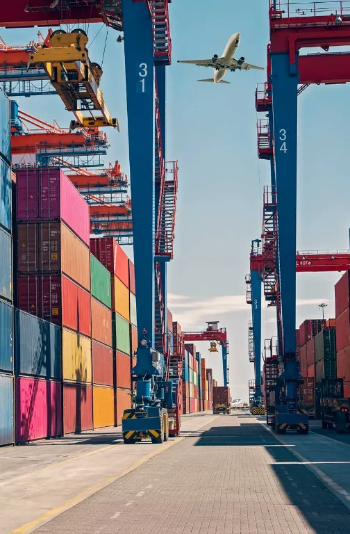 Leadex Leadex Logistics In Dubai