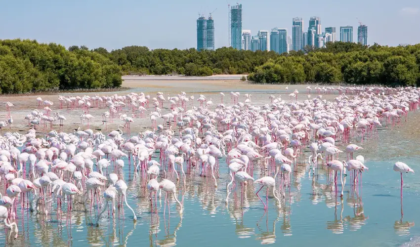 Ras Al Khor Postal Code Ras Al Khor Dubai UAE
