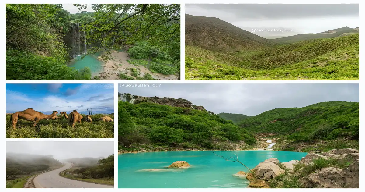 Salalah Khareef Season 2026