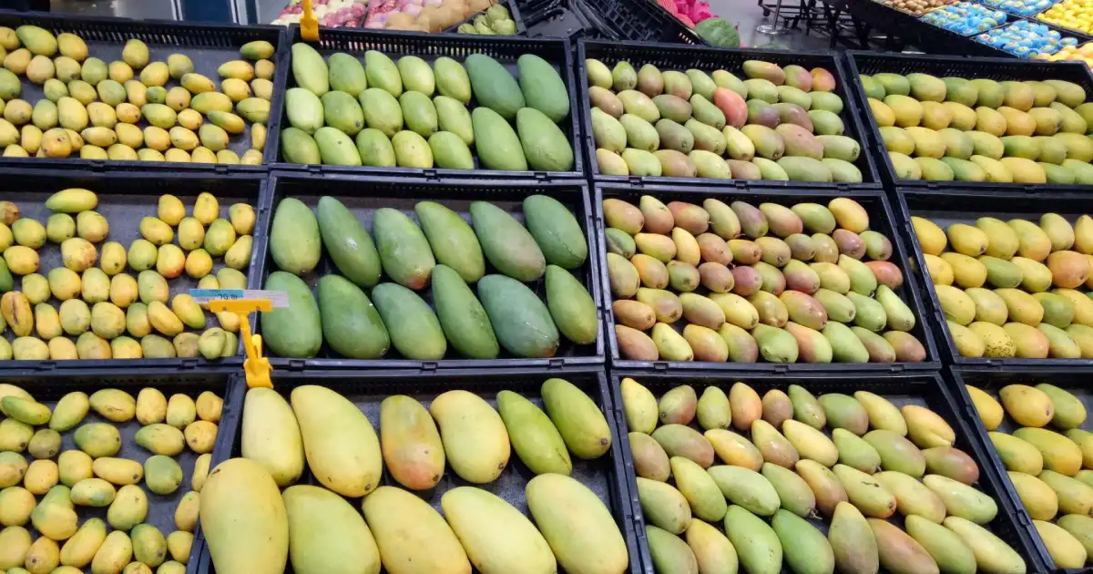 Chaunsa, Alphonso, Sindhri Are Back in UAE Markets — Which Mango Is the Most Expensive? When Will Prices Come Down