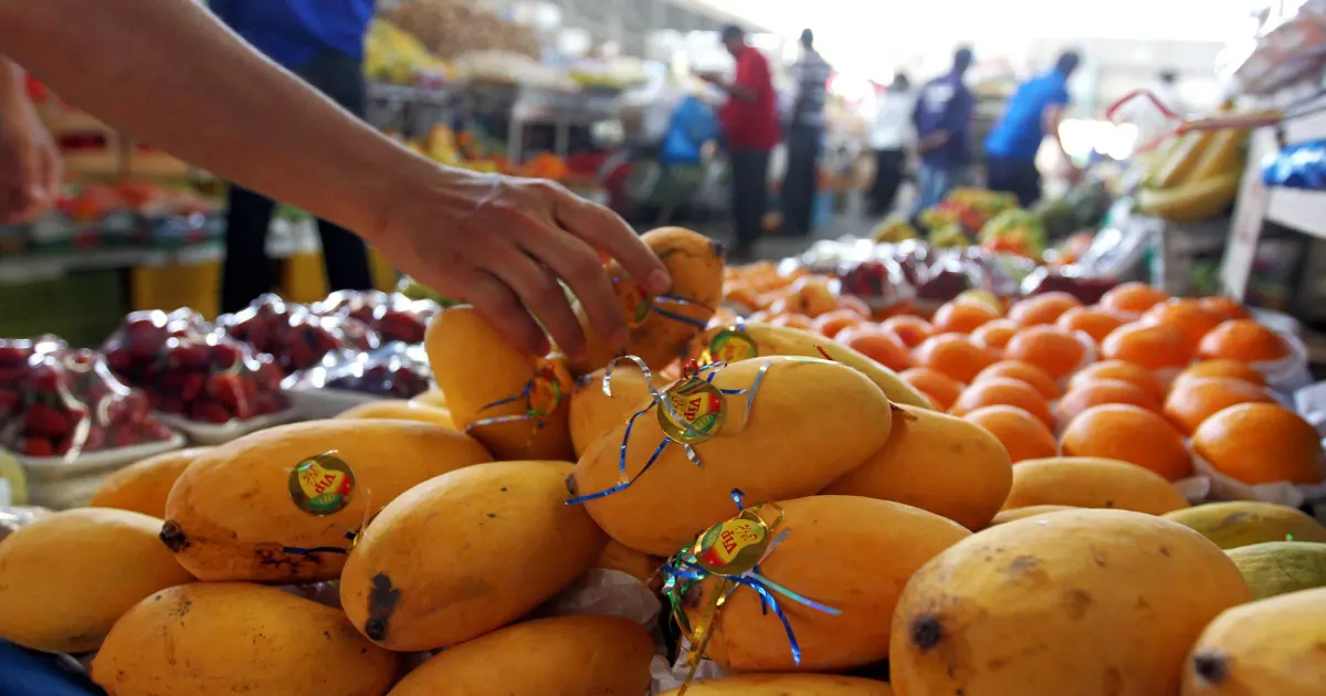 Chaunsa, Alphonso, Sindhri Are Back in UAE Markets — Which Mango Is the Most Expensive? Chaunsa