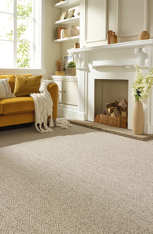 Carpeter Modern Carpet Rugs