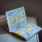 UAE Visa Expired or Cancelled How to Check Your Grace Period - Ever List