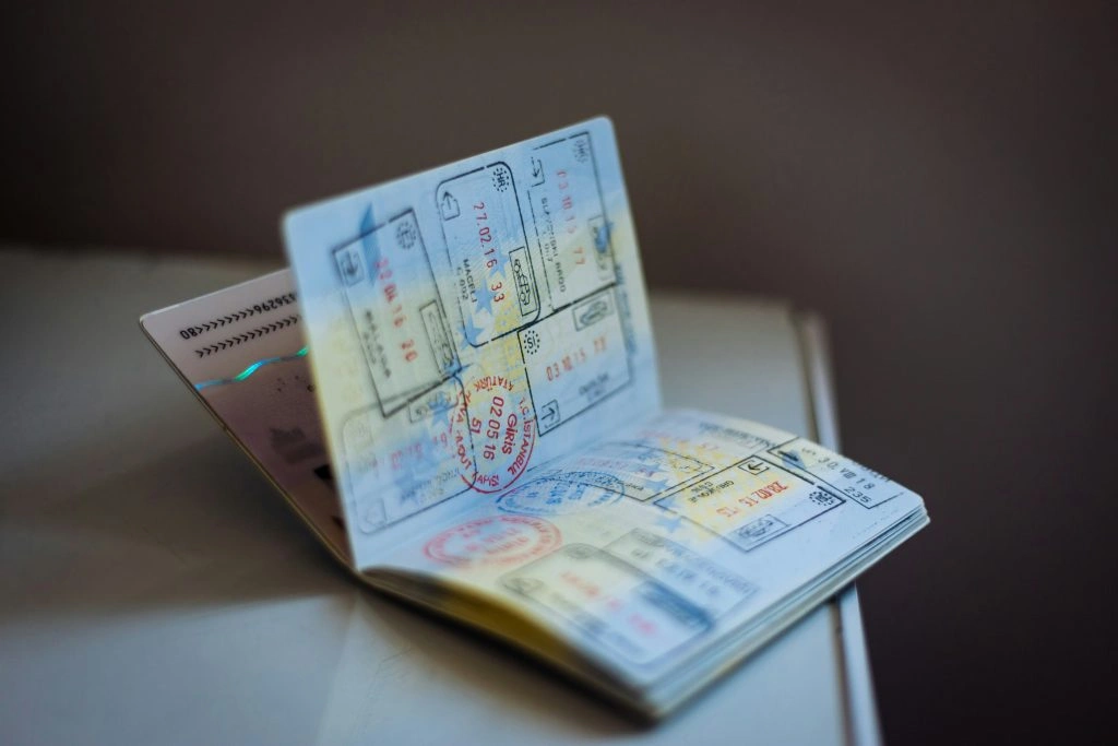 UAE Visa Expired or Cancelled How to Check Your Grace Period - Ever List
