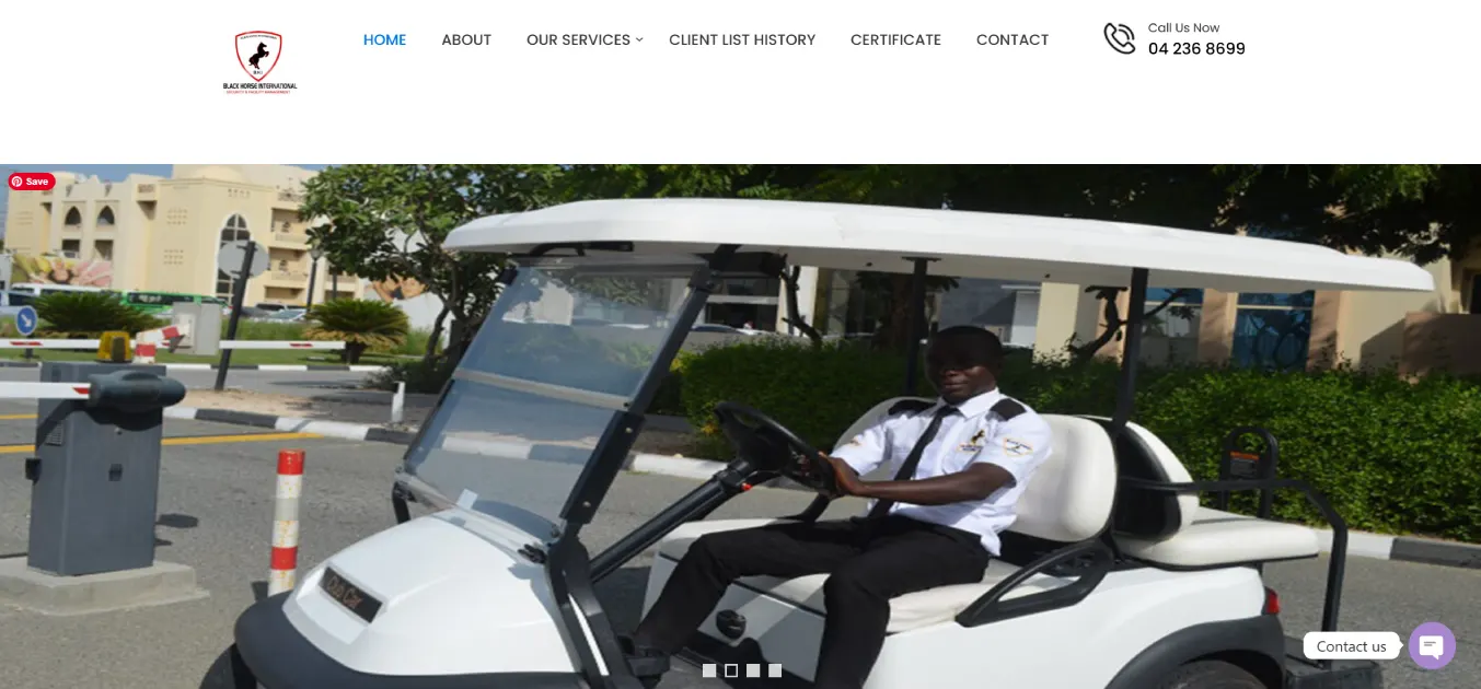 Black Horse Security