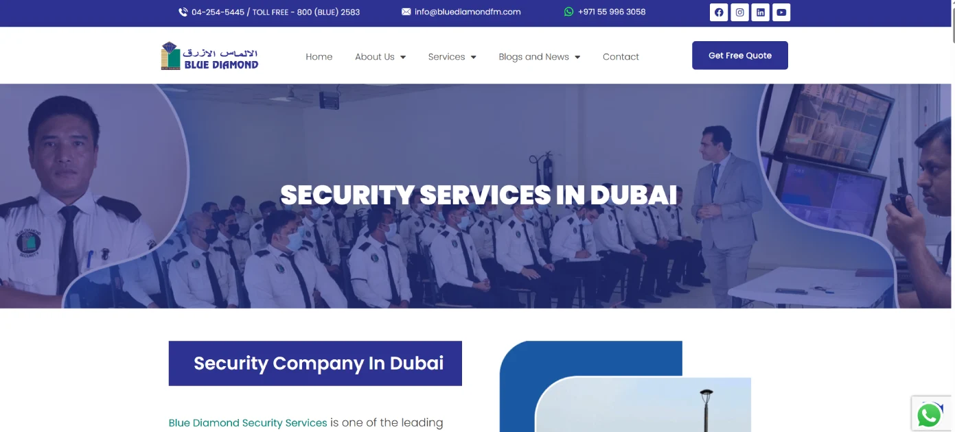 Blue Diamond Security Services L.L