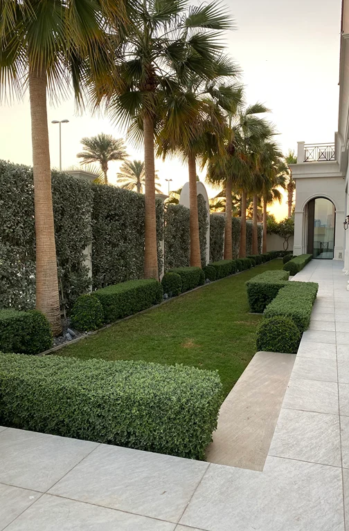 Top 10 Landscaping Companies in Dubai To Transform Your Outdoor Space Landscaping Companies In Dubai